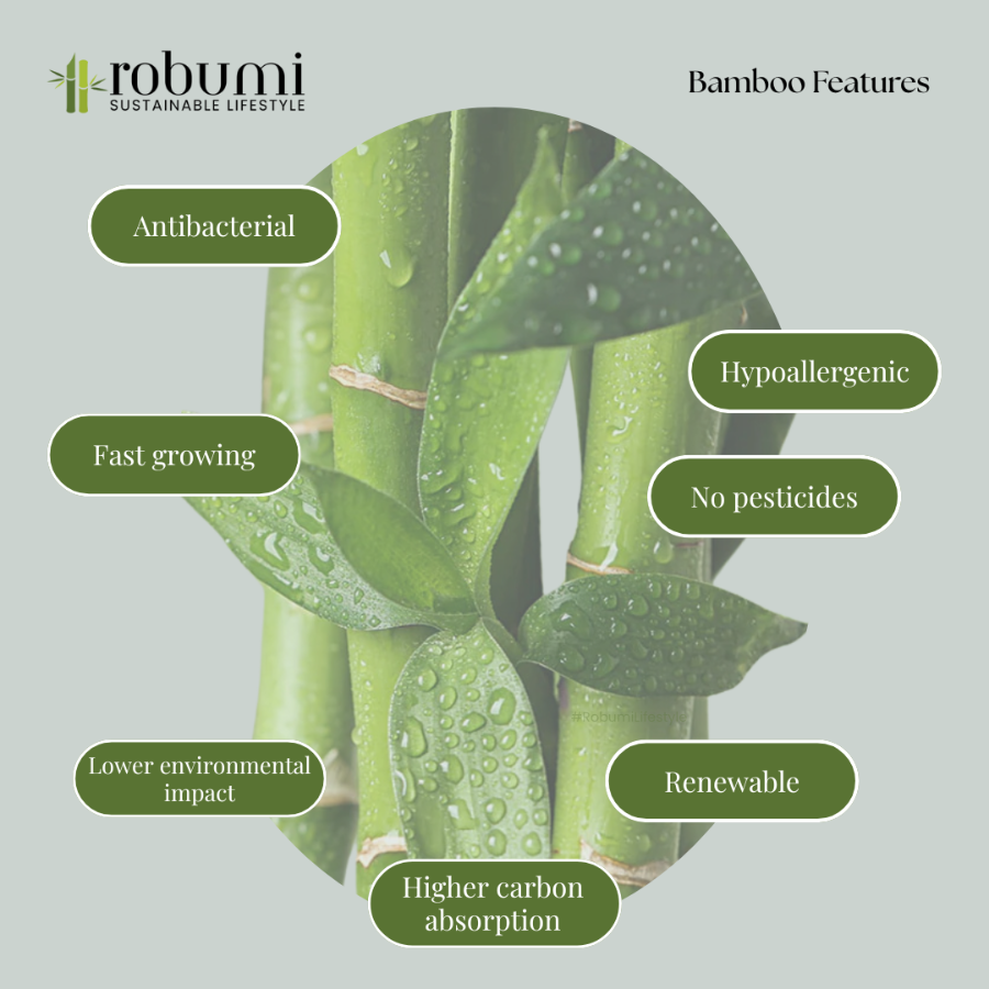 Features of bamboo trees listed in a visual informative way