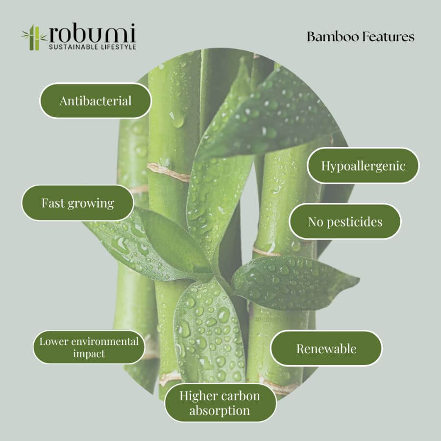 Infographic of eco-friendly features and natural benefits of bamboo